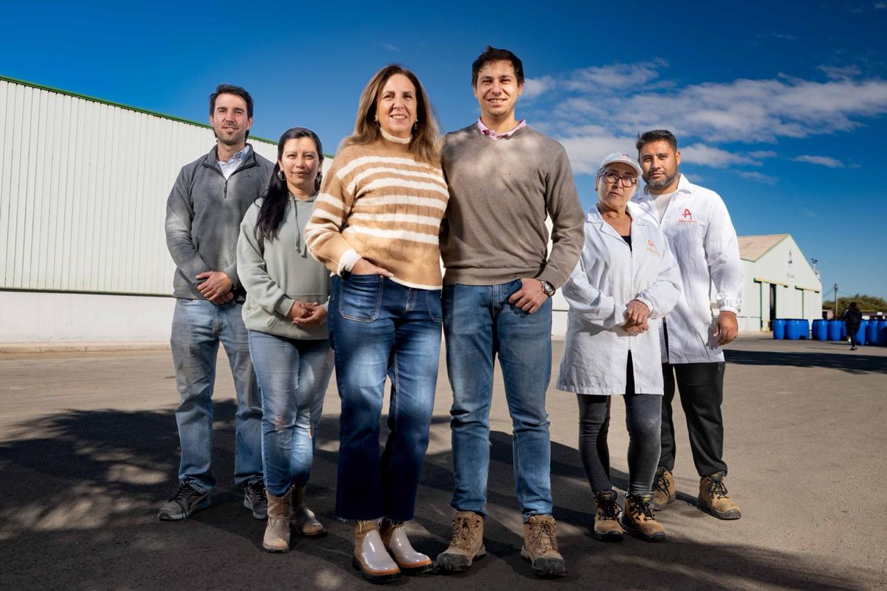 Atacama Aceitunas Team